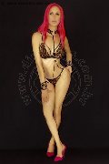Foto Immagine Nady Trans Bologna 3338758341 - 143