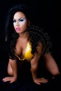 Foto Immagine Naomi Angel Transescort Genova 3491282938 - 91