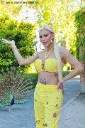 Foto Immagine Nina La Divina Trans Ibiza 0034617911341 - 18