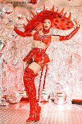 Foto Immagine Nina La Divina Trans Ibiza 0034617911341 - 40