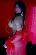 Foto Immagine Pamela Stevanato Transescort Viareggio 3281998233 - 63