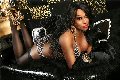 Foto Immagine Pantera Trans Bra 3331392426 - 4