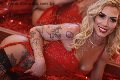Foto Immagine Patrizia Lucchese Transescort Milano 3924616291 - 8