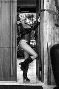 Foto Immagine Paty Ferrary Trans Caxias Do Sul 005521974294018 - 11