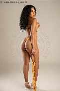 Foto Immagine Perla Girl Treviso 3921586689 - 5