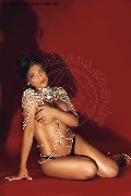 Foto Immagine Renata Molina Trans Barcellona 0034686368242 - 3