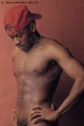 Foto Immagine Ricardo Boy Bologna 3381719064 - 1