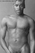 Foto Immagine Ricardo Boy Bologna 3381719064 - 5
