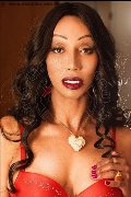Foto Immagine Roberta Hot Transescort Rimini 3891991636 - 1