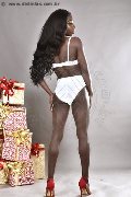 Foto Immagine Safira Snt'z  Trans Milano 3278243596 - 68