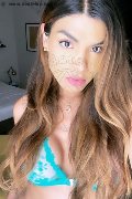  Trans Escort Barbara Luna 392 16 02 572 foto selfie 9