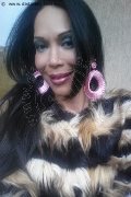 Reggio Emilia Trans Erotika Flavy Star 338 79 27 954 foto selfie 17