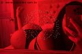 Trieste Trans Gina Latina 327 47 16 071 foto selfie 33