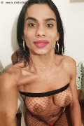 Pavia Trans Kelly Hot Piccolina 320 83 08 963 foto selfie 8