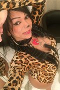 Genova Trans Mabela 320 82 98 229 foto selfie 15