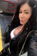 Villorba Trans Escort Pamy La Diva Stellare 324 78 19 703 foto selfie 1213