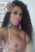 Padova Trans Escort Paolina Mulatta 333 29 10 933 foto selfie 11