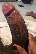 Milano Trans Paula Xxl 376 29 61 336 foto selfie 19