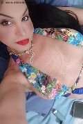 Bologna Trans Rosa Xxxl 328 74 36 345 foto selfie 72