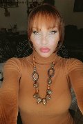 Treviso Trans Valeria 338 87 18 849 foto selfie 242
