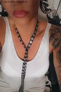 Treviso Trans Valeria 338 87 18 849 foto selfie 279