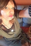 Treviso Trans Escort Valeria 338 87 18 849 foto selfie 725
