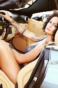 Foto Immagine Serena Transescort Bologna 3271309016 - 18