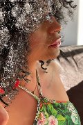 Foto Immagine Serena Transescort Bologna 3271309016 - 10