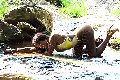 Foto Immagine Sexy Venere Nera Trans Aosta 3283286338 - 9