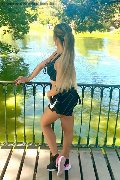 Foto Immagine Steffany Transescort Tolosa 0033671129335 - 24