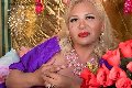 Foto Immagine Trans Evolution Trans Bari 3911863087 - 90