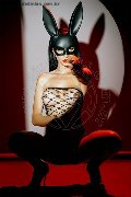 Foto Immagine Vanessa Hilton Trans Vicenza 3245846577 - 131