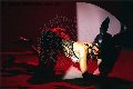Foto Immagine Vanessa Hilton Trans Vicenza 3245846577 - 132