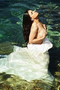 Foto Immagine Victoria Luxo Trans 0041766140309 - 41