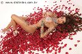 Foto Immagine Yasmine Trans Bologna 3511351263 - 3