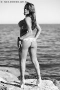 Foto Immagine Alessandra Toledo Pornostar Trans Rimini 3396743933 - 96