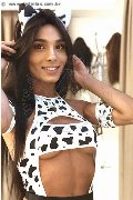 Foto Immagine Brunna Campanaro Trans Imola 3509335566 - 100
