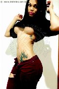 Foto Immagine Dior Transescort Genova 3472825420 - 672
