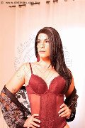 Foto Immagine Elisa Travescort Milano 3512604780 - 56