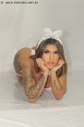 Foto Immagine Gabyzinha Trans Verona 3520298736 - 4
