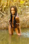 Foto Immagine Hillary Brasiliana Trans Alba Adriatica 3384136322 - 105