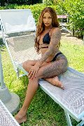 Foto Immagine Hillary Brasiliana Trans Milano 3384136322 - 43