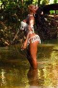 Foto Immagine Hillary Brasiliana Trans Milano 3384136322 - 96