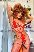 Foto Immagine Hot Stella Ricci Transescort Rimini 3295563971 - 5