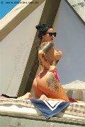 Foto Immagine Ilenia Escort Verbania 3209767007 - 2