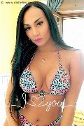 Foto Immagine Luana Fernandes Transescort Roma 3246046310 - 12