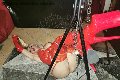 Foto Immagine Mistress Laura Mistresstrans Roma 3208356177 - 16