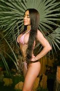 Foto Immagine Pamelita Trans Roma 3311507952 - 58