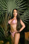 Foto Immagine Pamelita Trans Roma 3311507952 - 56