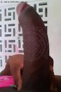 Genova Trans Escort Naomy Xl 329 01 67 932 foto selfie 116